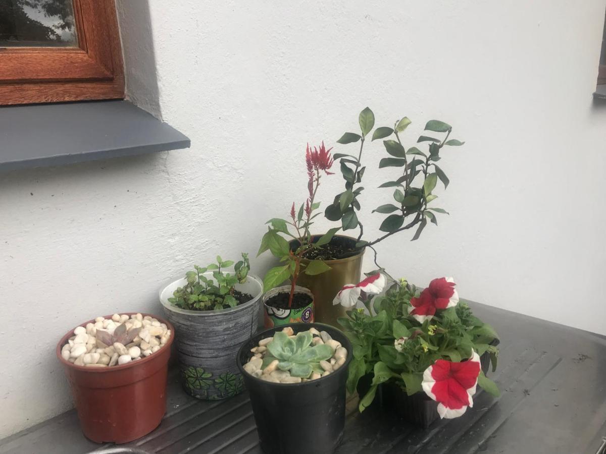 Bokamoso Views Bed & Breakfast Рустенбург Екстериор снимка